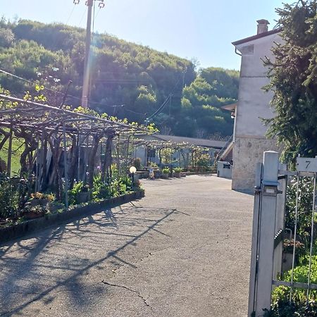 La Torretta - Incantevole Appartamento Nei Colli Berici Nanto エクステリア 写真