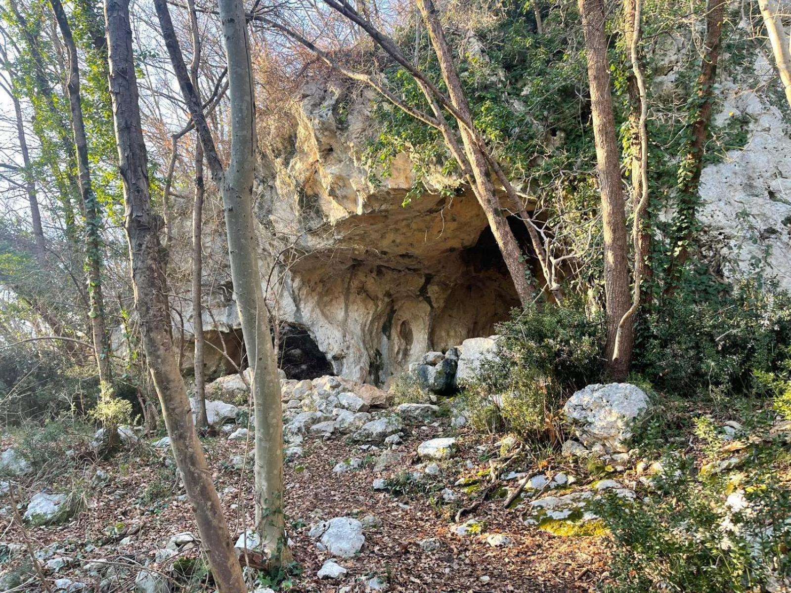 La Torretta - Incantevole Appartamento Nei Colli Berici Nanto エクステリア 写真